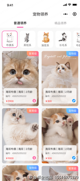 宠物领养列表页